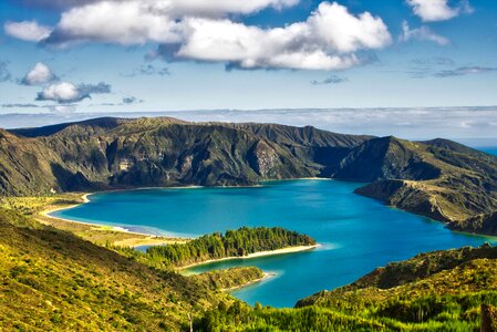 Volcano crater biodiversity