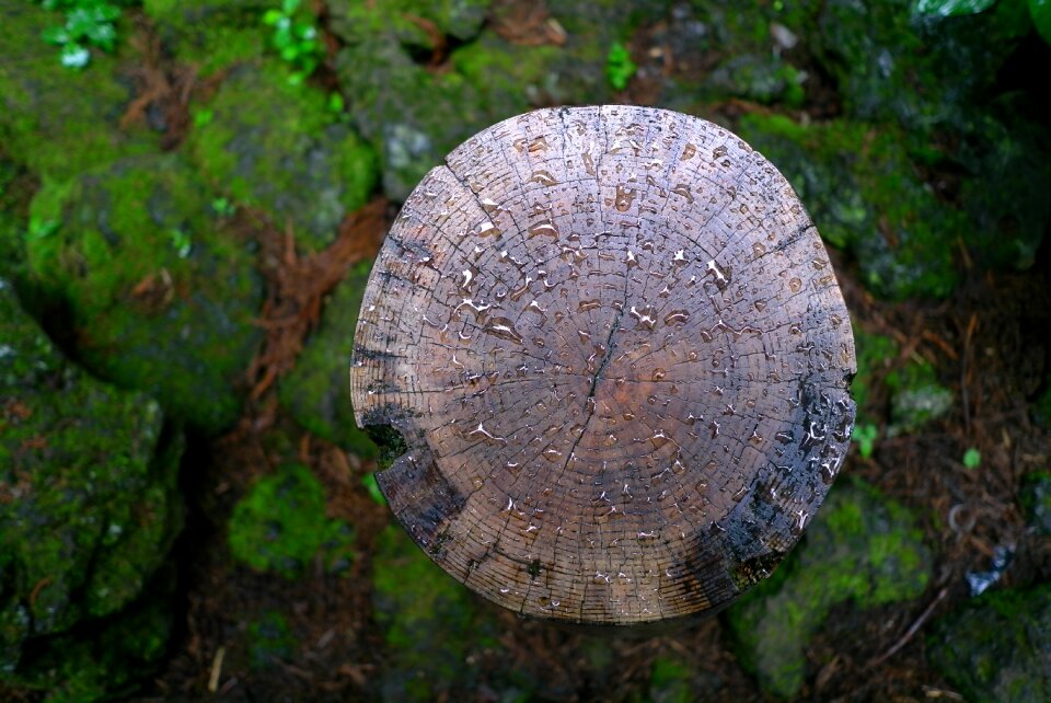 Non raindrops annual zone