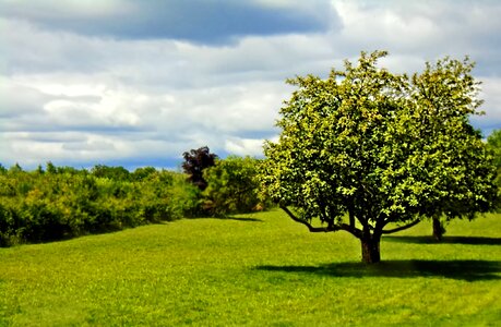 Park outdoor nature