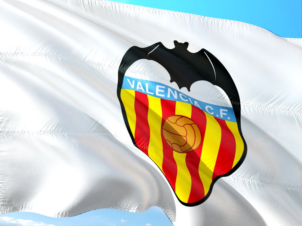 La liga flag cf valencia