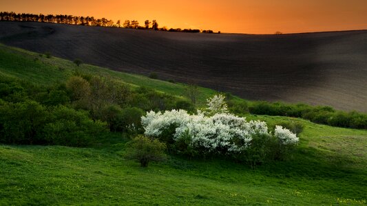 Nature spring landscape west