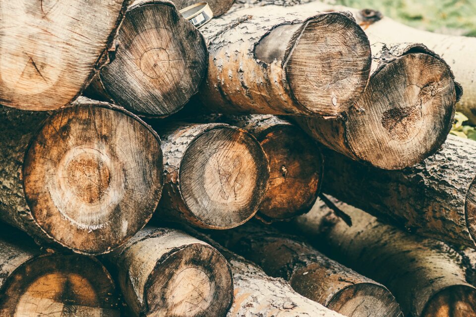 Balance beam tree horizontal