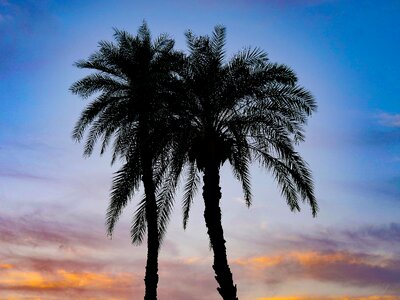 Sky abendstimmung silhouette