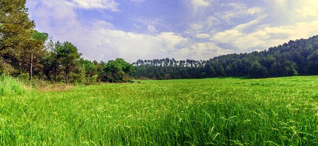 Grain nature agriculture
