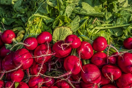 Healthy turnips food