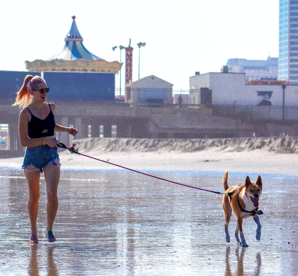 Walking dog female woman