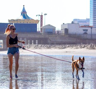 Walking dog female woman photo