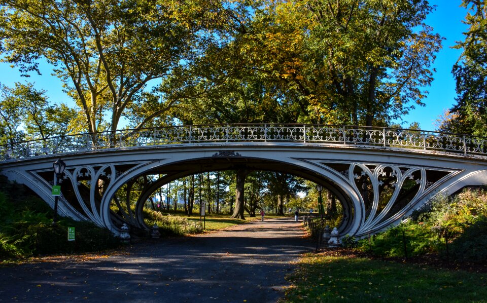 Scenic park pedestrians