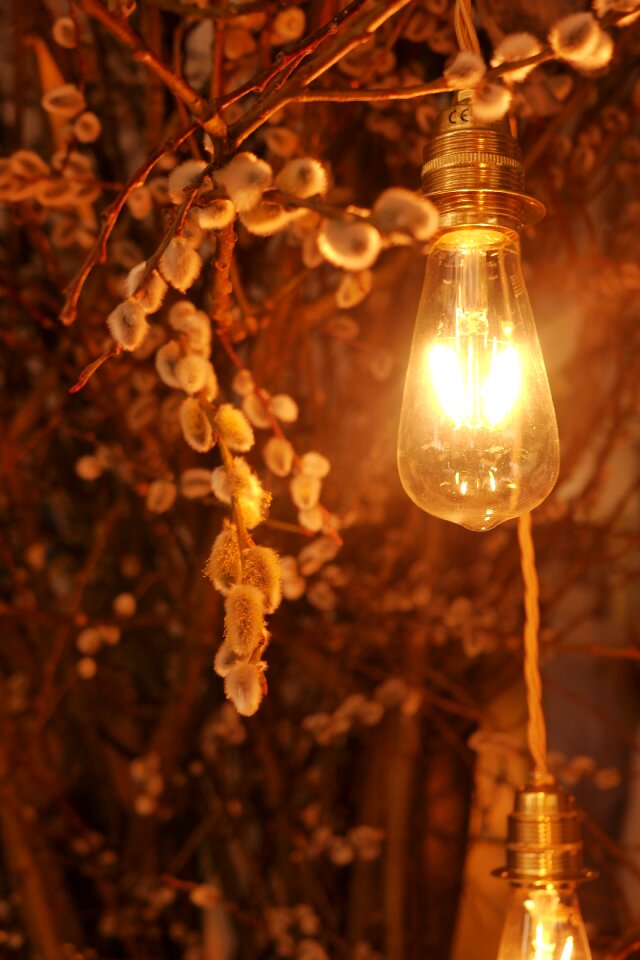 Decoration light bulb Free photos