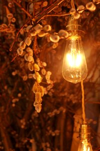 Decoration light bulb Free photos photo