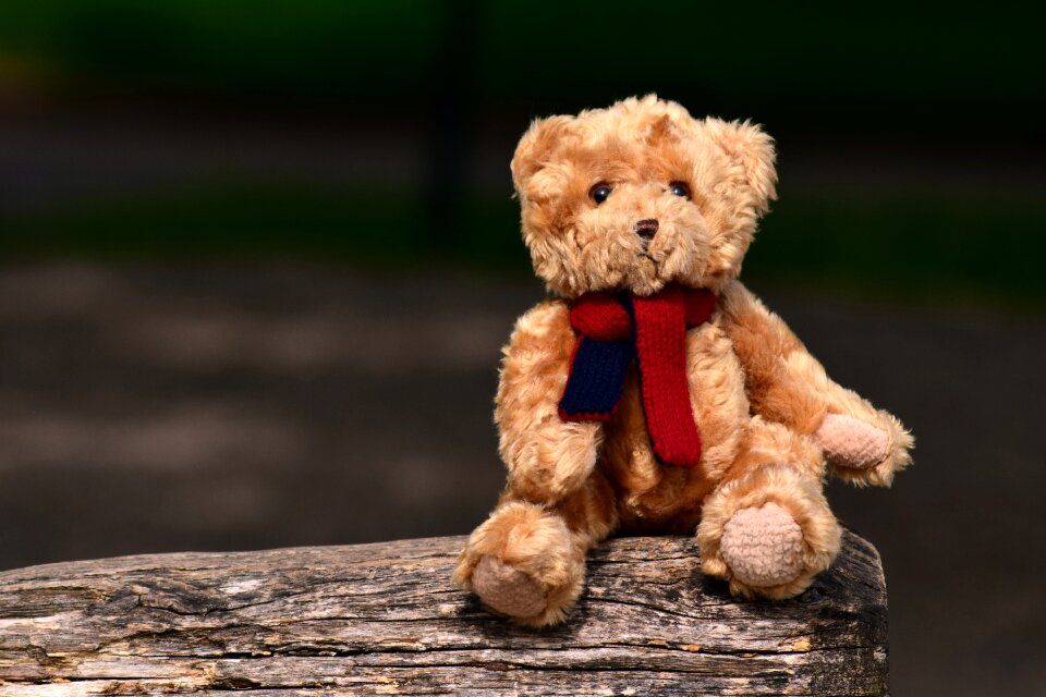 Toys plush children toys