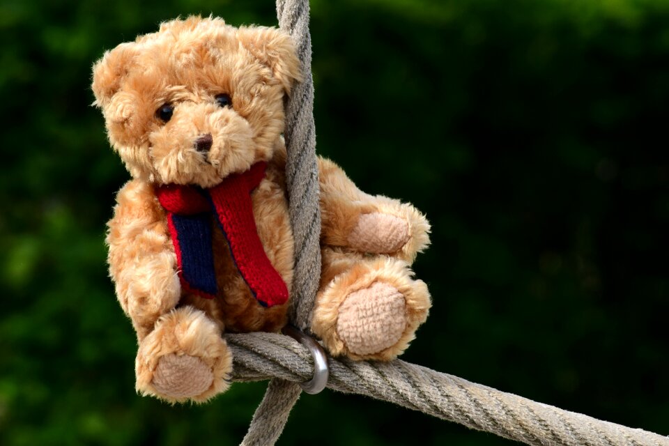 Toys plush children toys