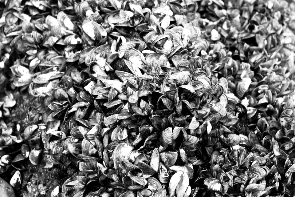 Nature surfaces rau
