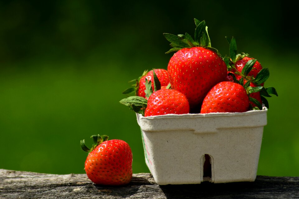 Sweet delicious food