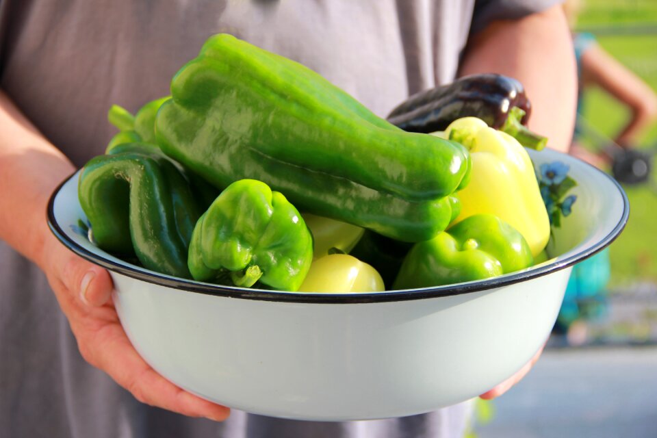 Nutrition vegetables salad