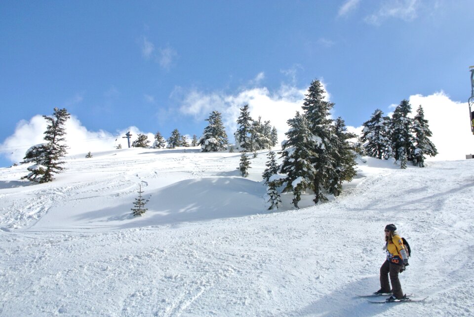 Winter outdoors nature