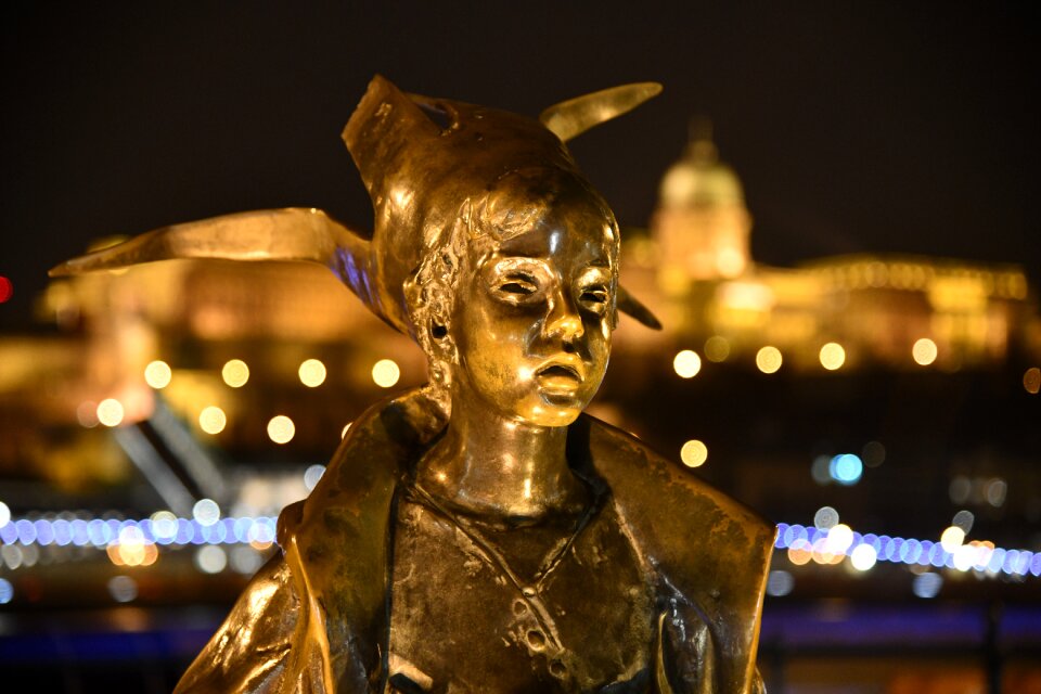 The danube statue at night