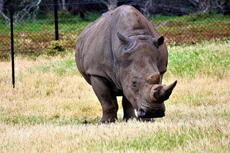 Wild animal zoo