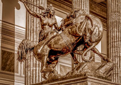 Horse woman amazone