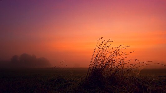 Grass field sunrise photo
