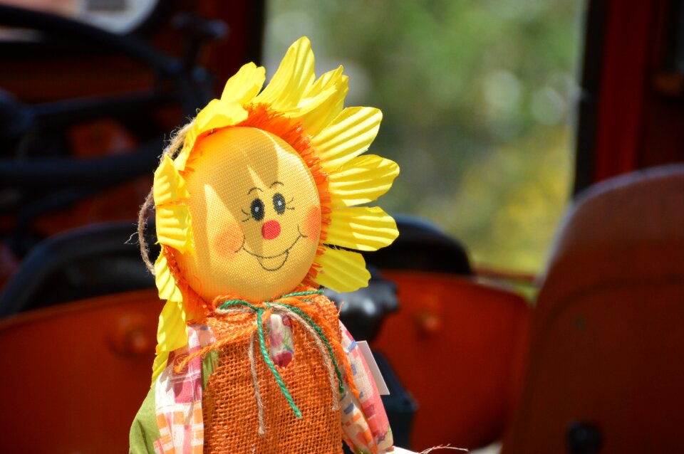 Sunflower flower fabric country festival