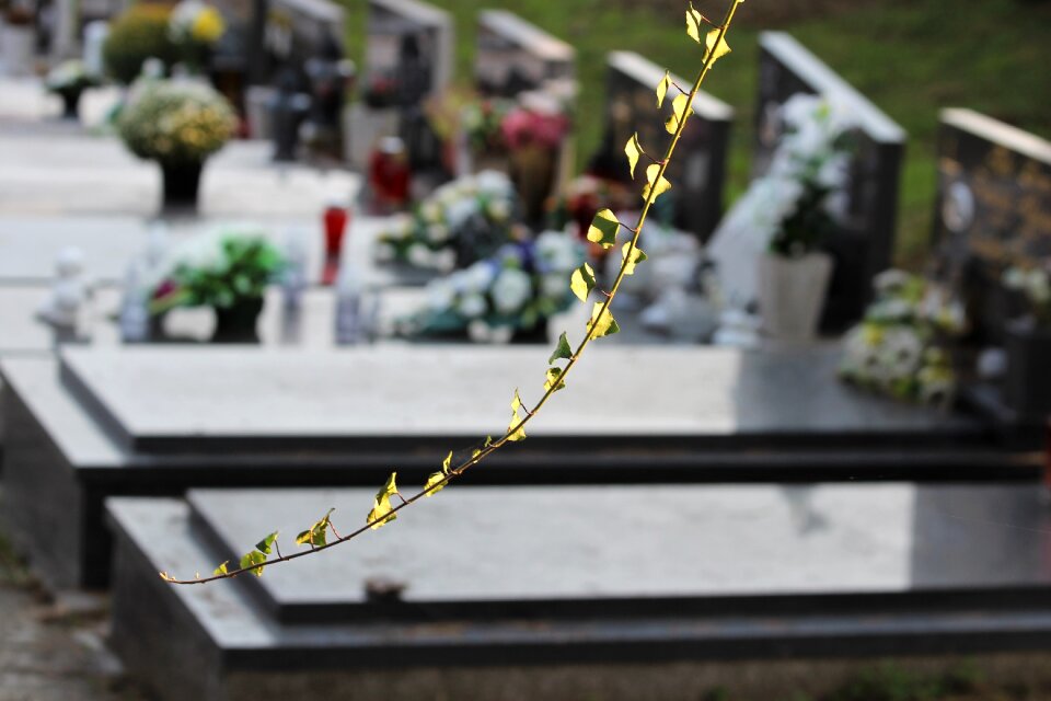 Miroševac marble flowers