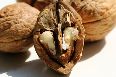 Hoops nut dry fruit autumn fruits