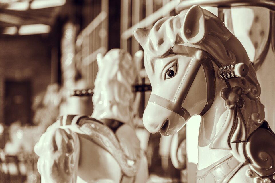 Carousel carousel horse head