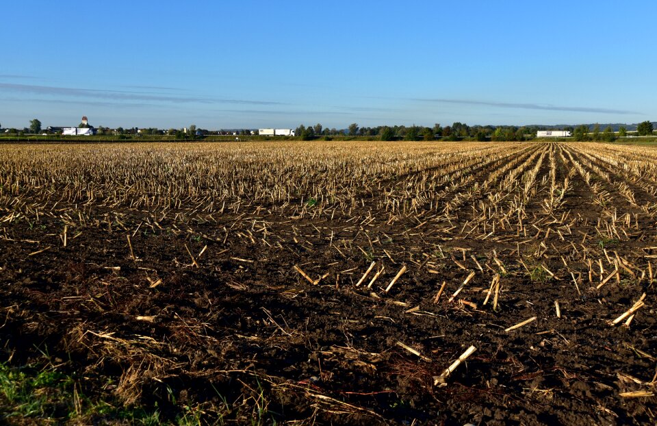 Earth agriculture landscape