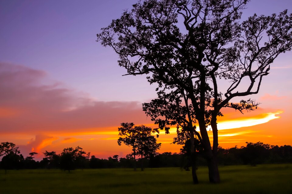 Silhouette evening sunset