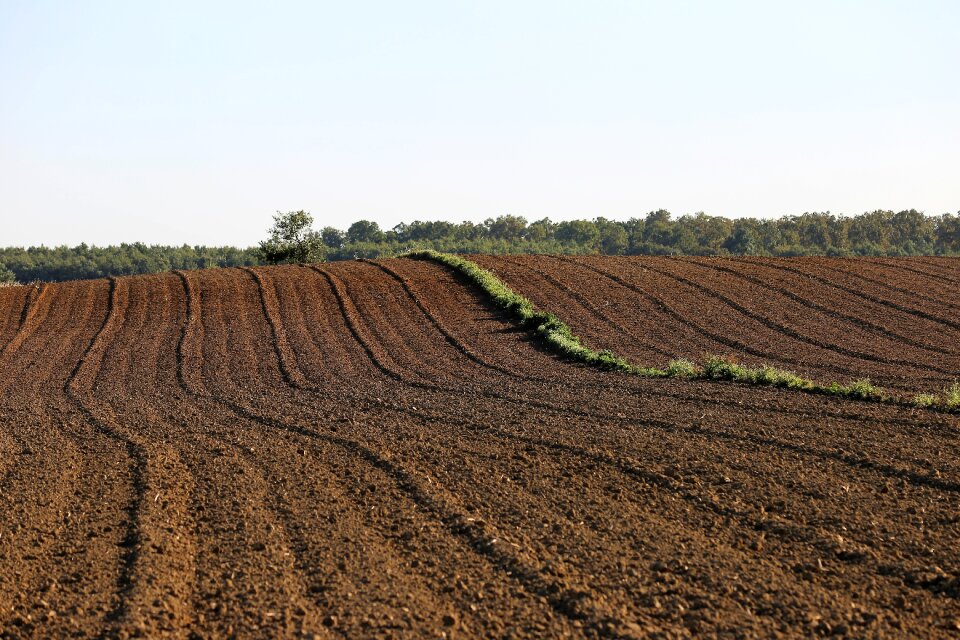 Agriculture countryside rural