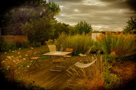 Peaceful nature green