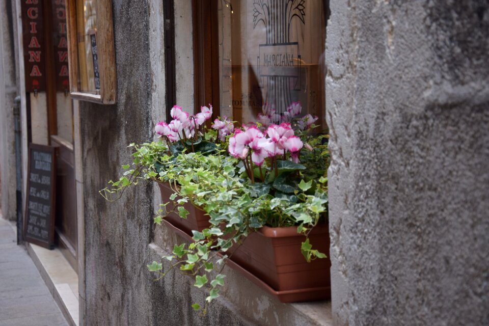 Color old romantic