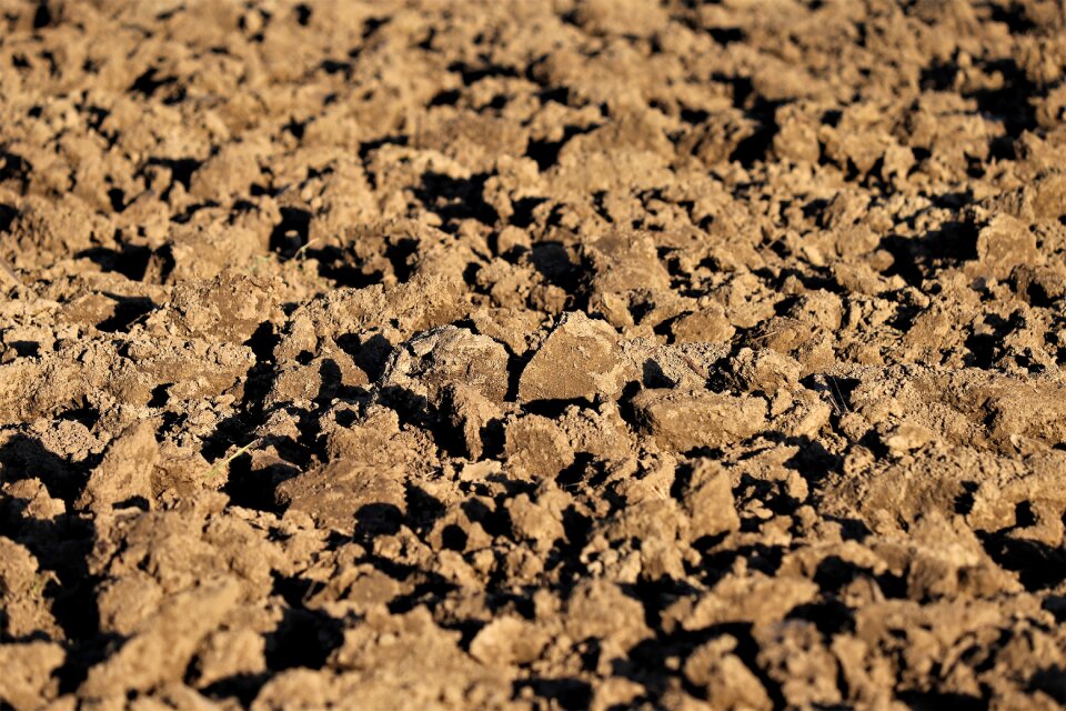 Agriculture farming nature