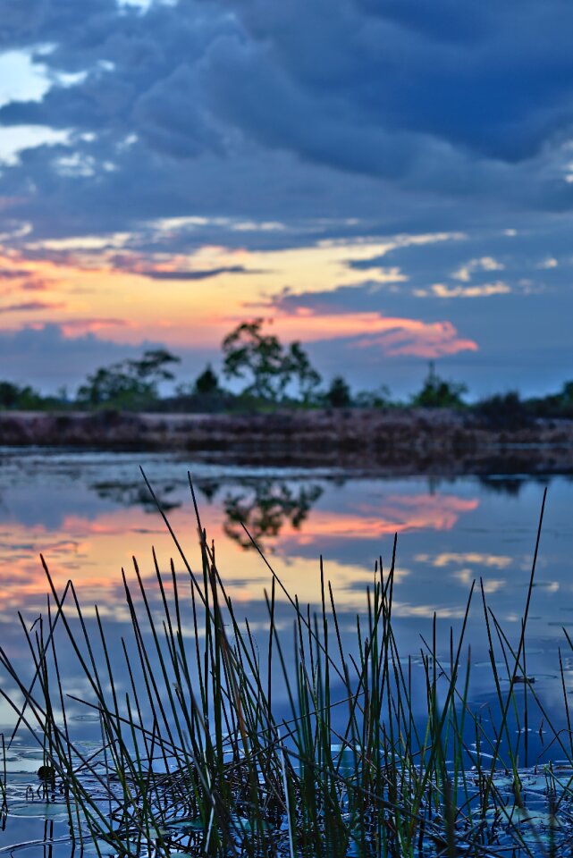 Lake dusk landscape