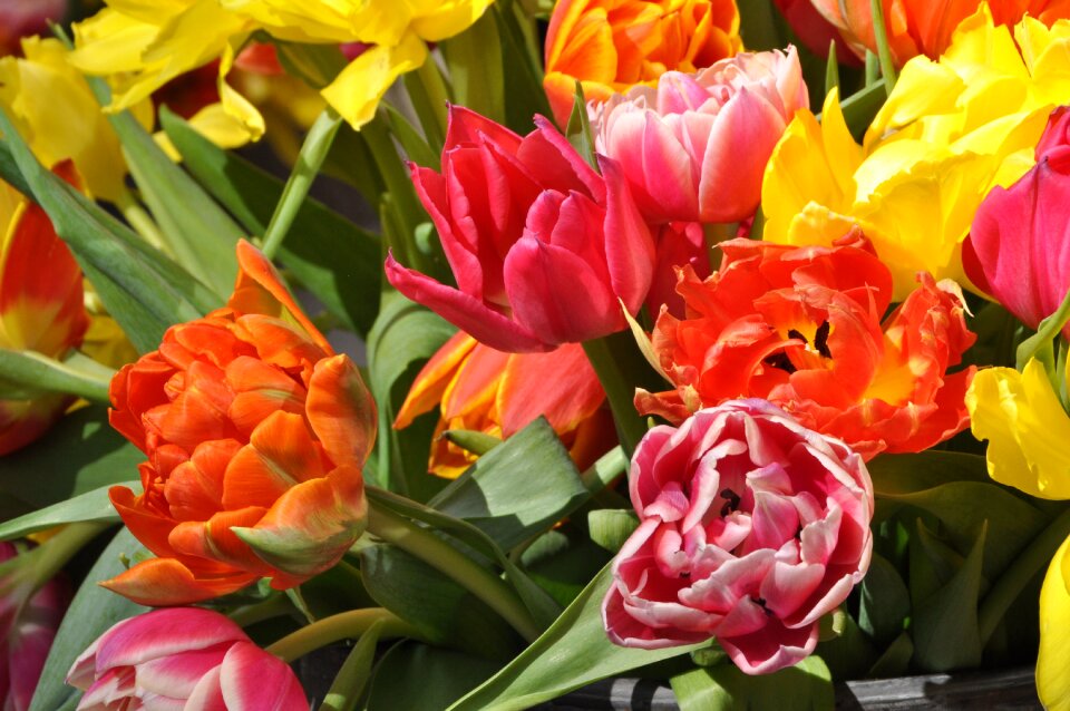 Nature floral bouquet