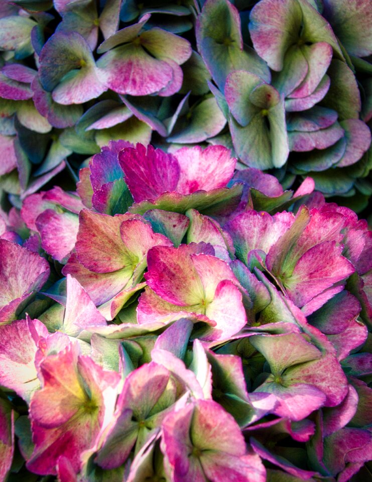 Close up beautiful background