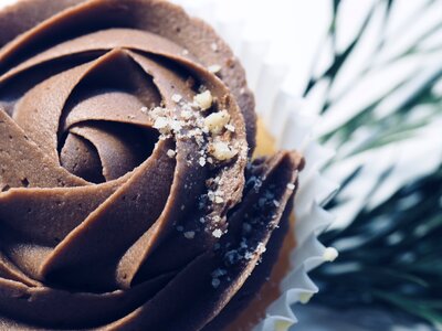 Chocolate cake cupcake