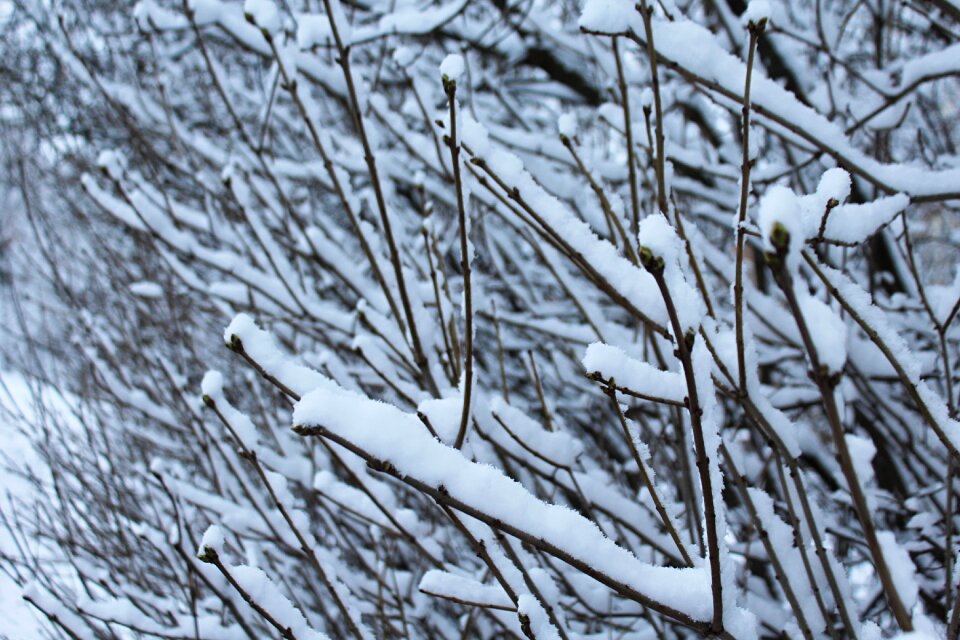 White cold christmas
