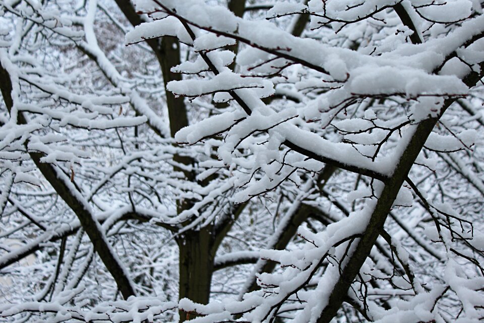 White cold christmas