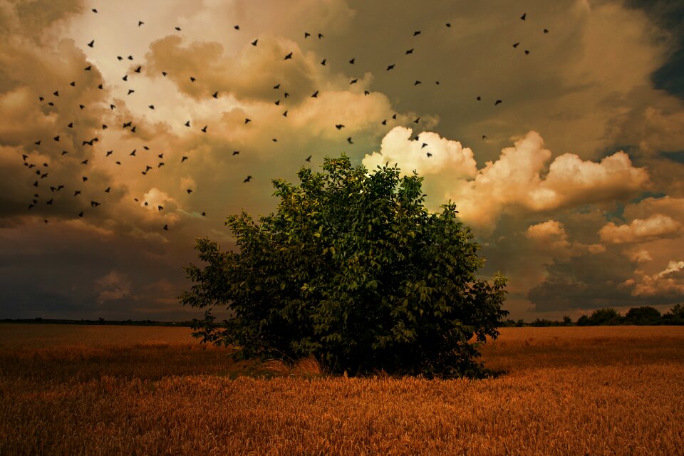 Cloud landscape nature