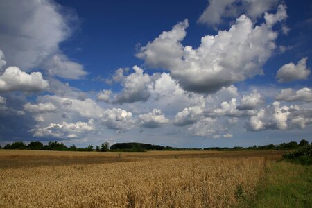 Sky cloud harvest