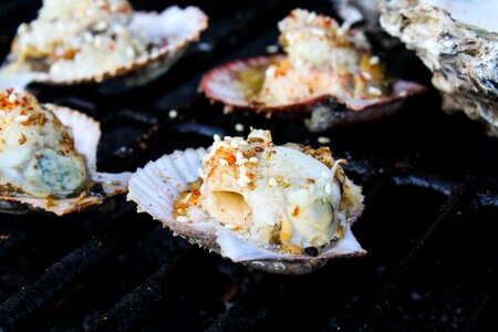 Oysters grilled oysters garlic oysters