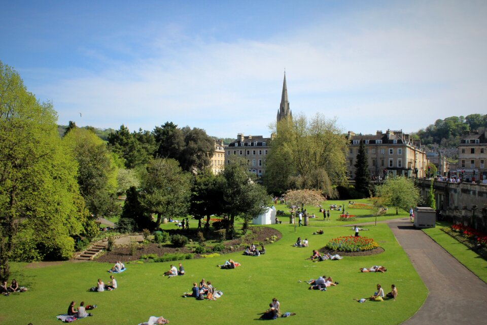 Grass sunbathing green