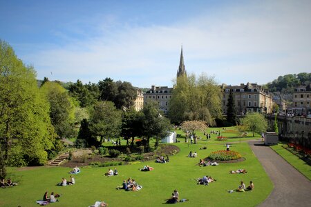 Grass sunbathing green photo