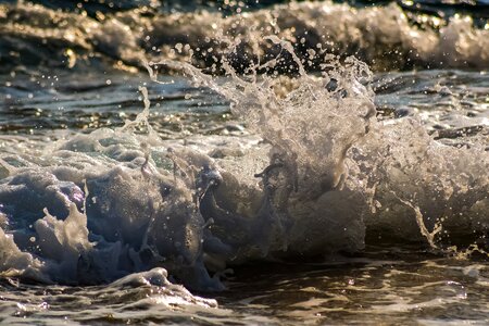 Spray foam nature photo