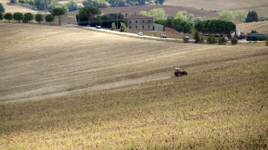Farm collections przenica