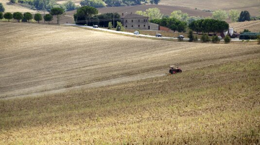 Farm collections przenica photo