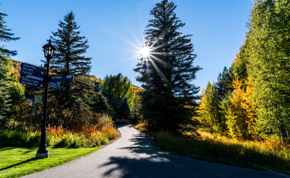 Park path beautiful landscape