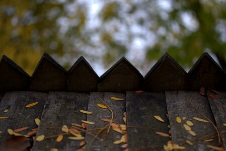 Wood rural traditional